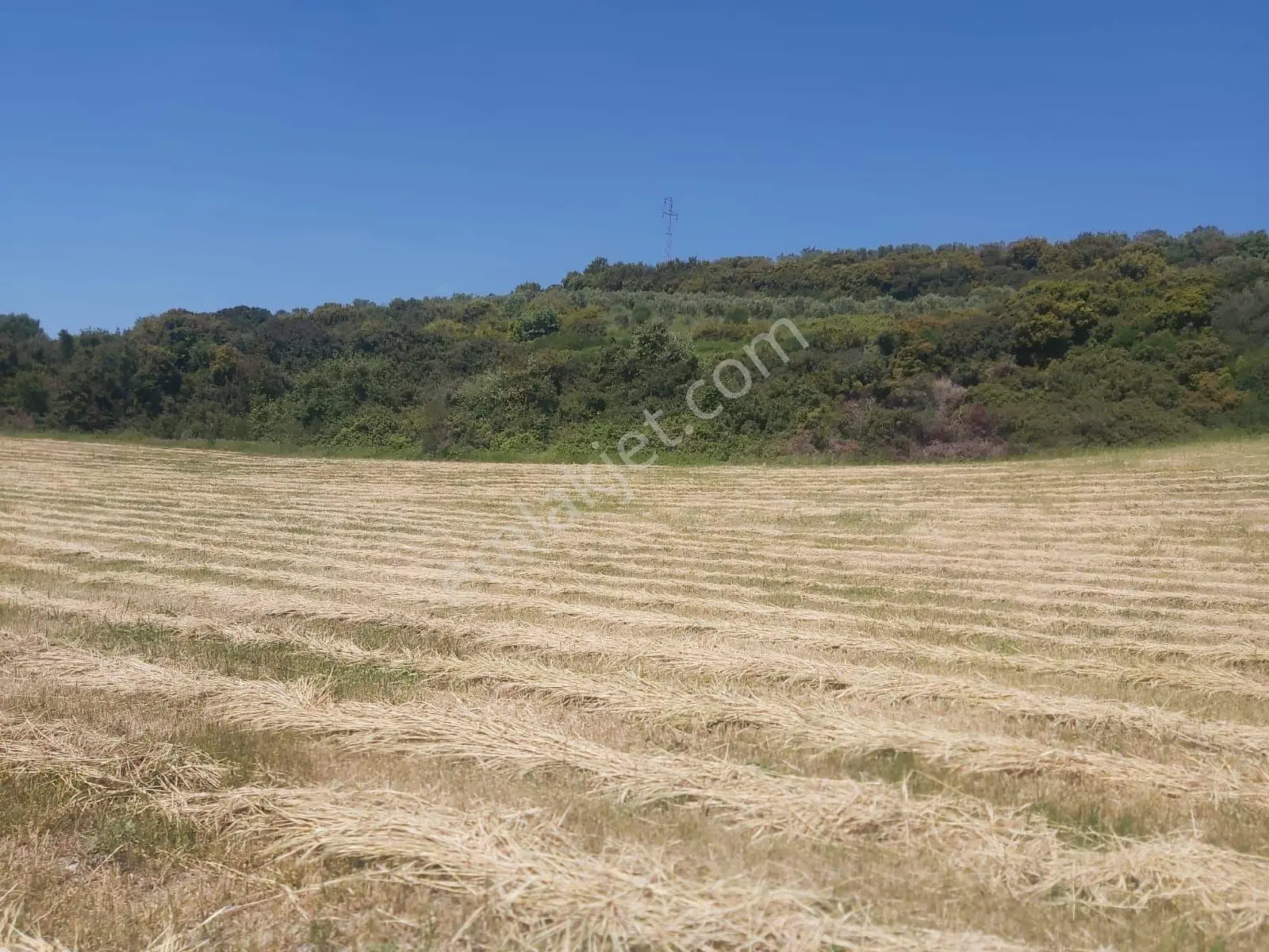 Acil Satılık Tam Yatırımlık Yayla Köy De Yola 2.parselde 120metre Mesafede - Görsel 3