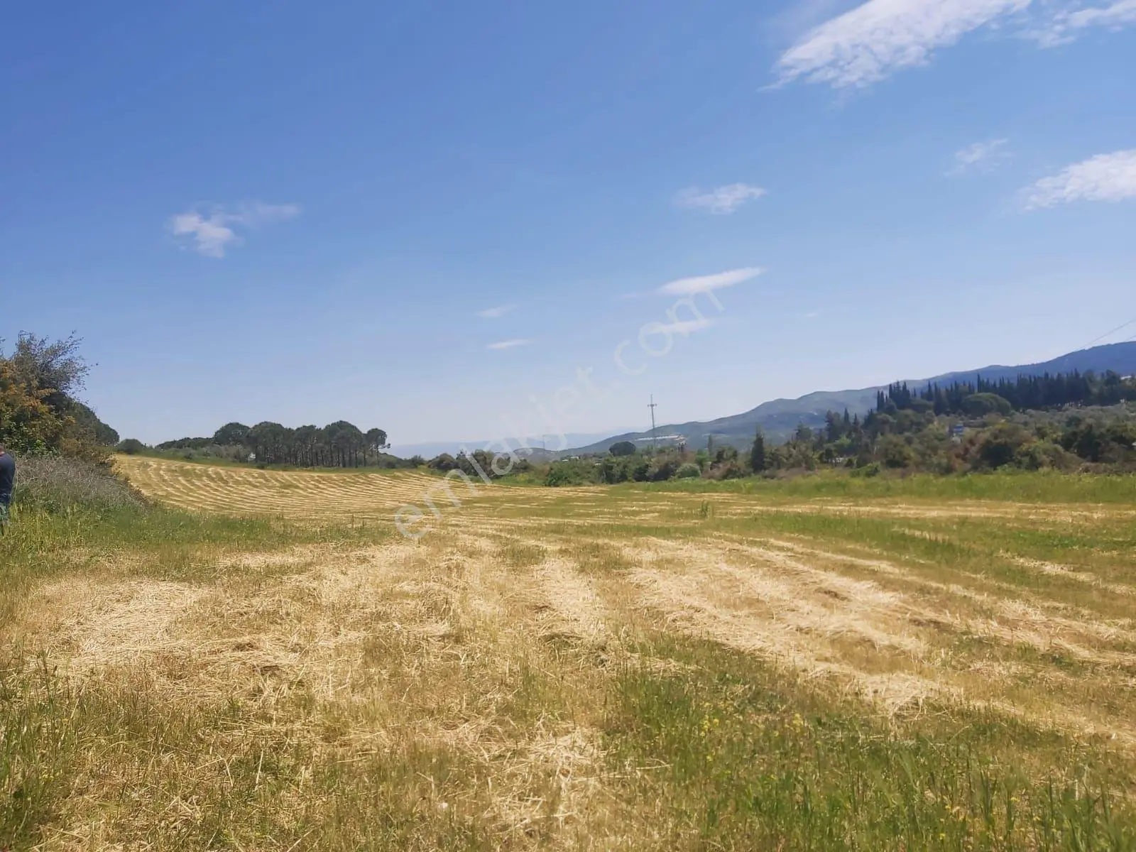 Acil Satılık Tam Yatırımlık Yayla Köy De Yola 2.parselde 120metre Mesafede