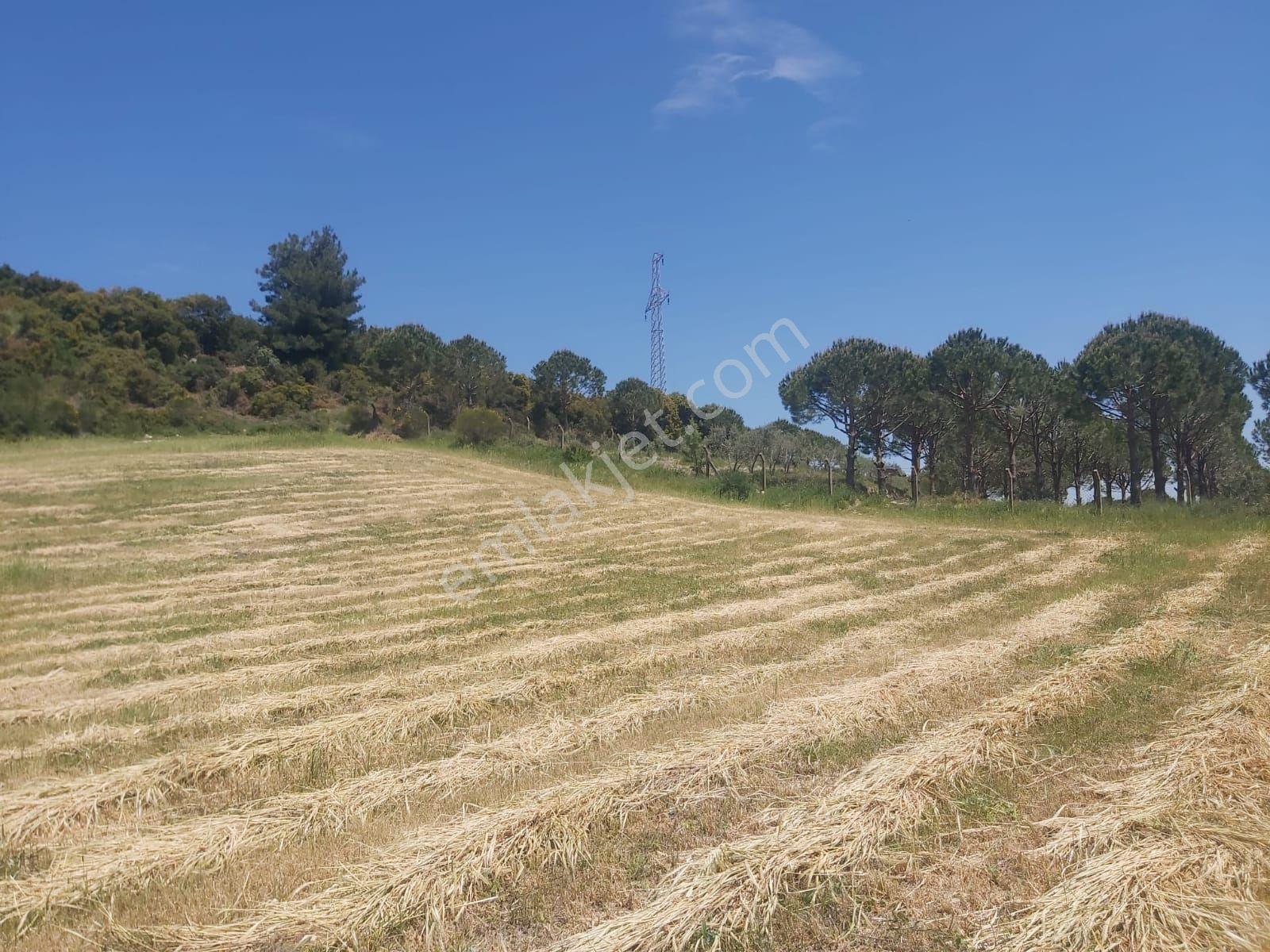 Acil Satılık Tam Yatırımlık Yayla Köy De Yola 2.parselde 120metre Mesafede - Görsel 12