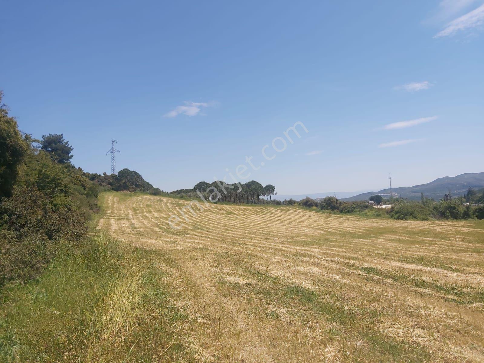 Acil Satılık Tam Yatırımlık Yayla Köy De Yola 2.parselde 120metre Mesafede - Görsel 8