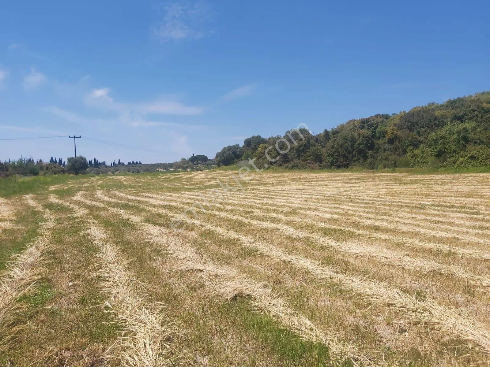 Acil Satılık Tam Yatırımlık Yayla Köy De Yola 2.parselde 120metre Mesafede - Görsel 6