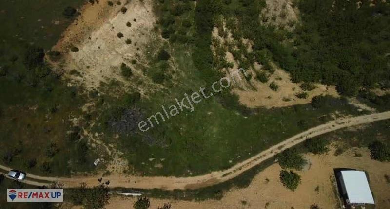 Beşpınar Köyünde 3545 M2 Müstakil Parsel Tarla - Görsel 2