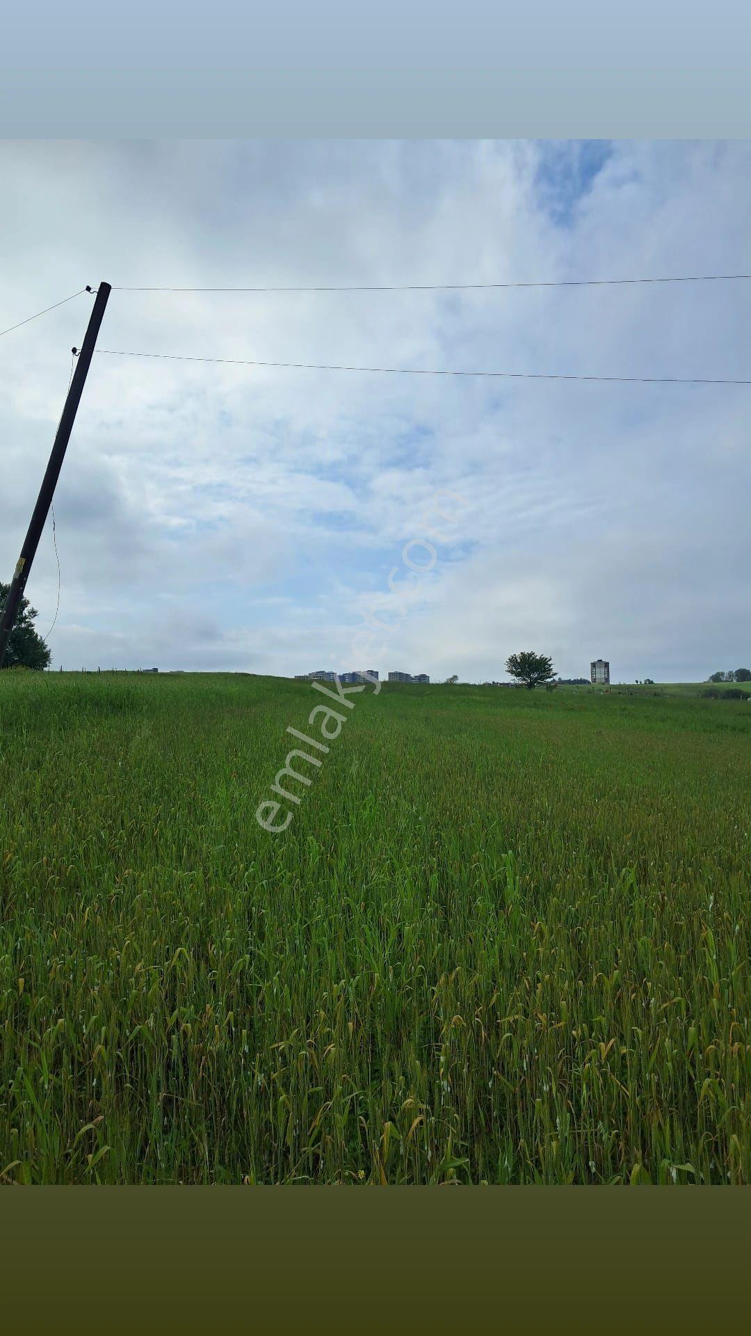 Samsun İlkadım Konut İmarlı Arsa - Görsel 18