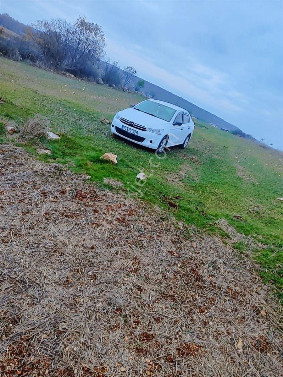 Kırklareli Vize Evrenli Mahalle Dibi 275 M² Tarla - Görsel 13