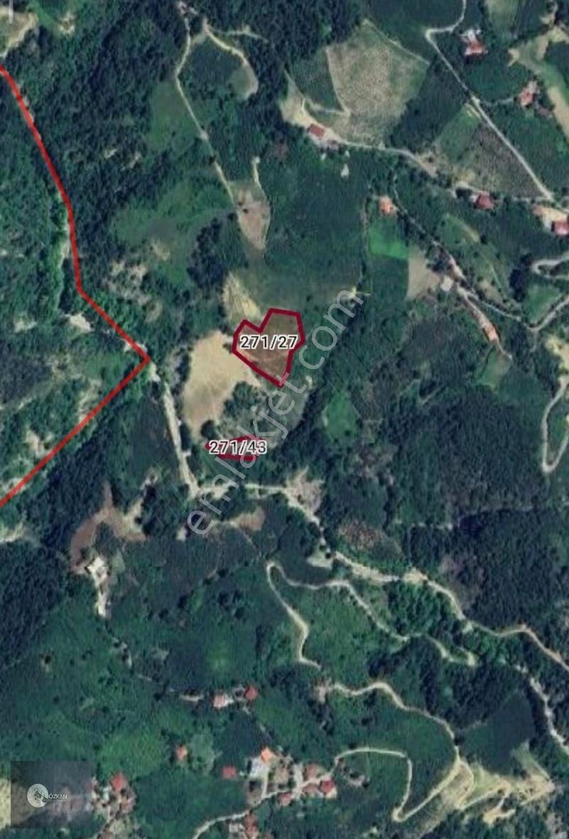 Ayvacık Fırsat Tarla