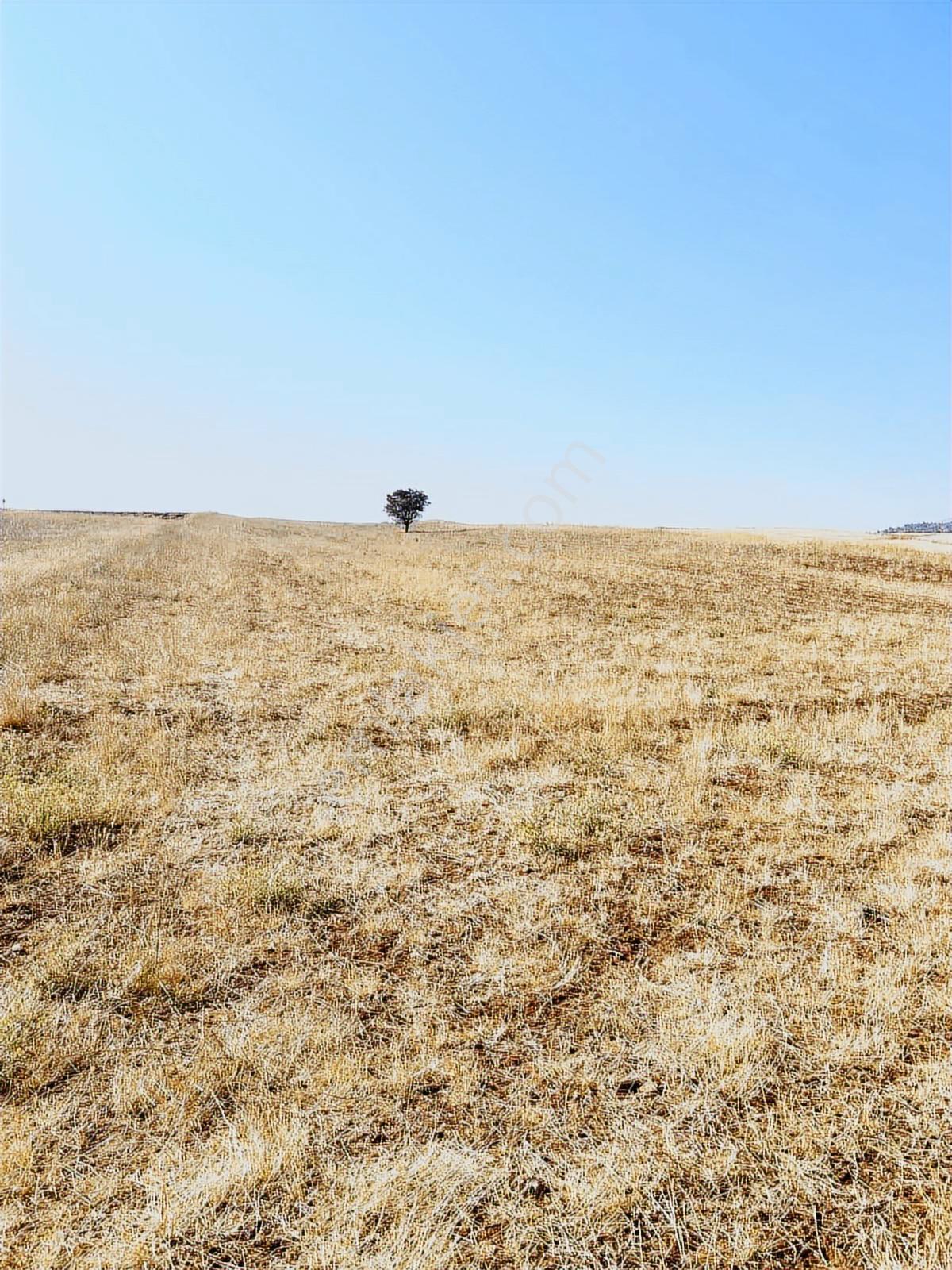 Acil! Afyon/kızılören Merkez-yola Cephe, Ev Yapımına Uygun Arazi - Görsel 18