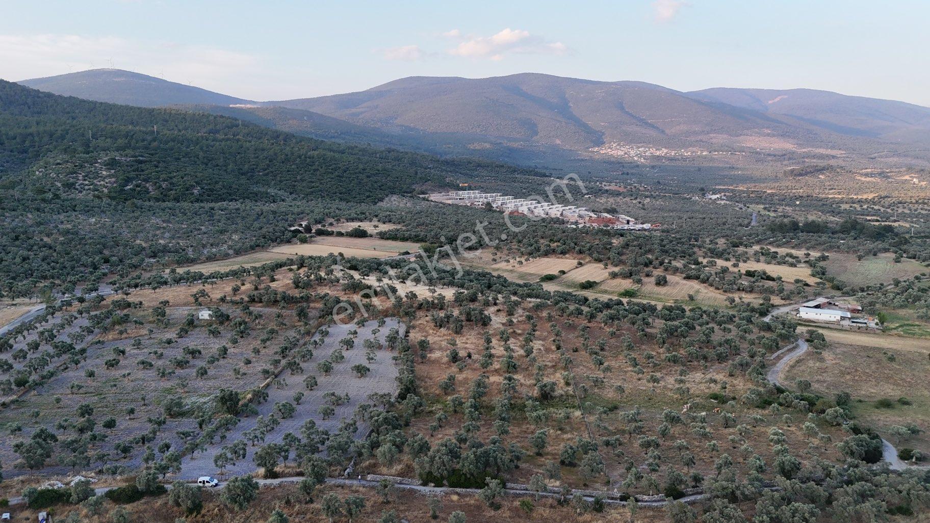 Muğla Milas Bozbükte Yatırım Fırsatı - Görsel 2