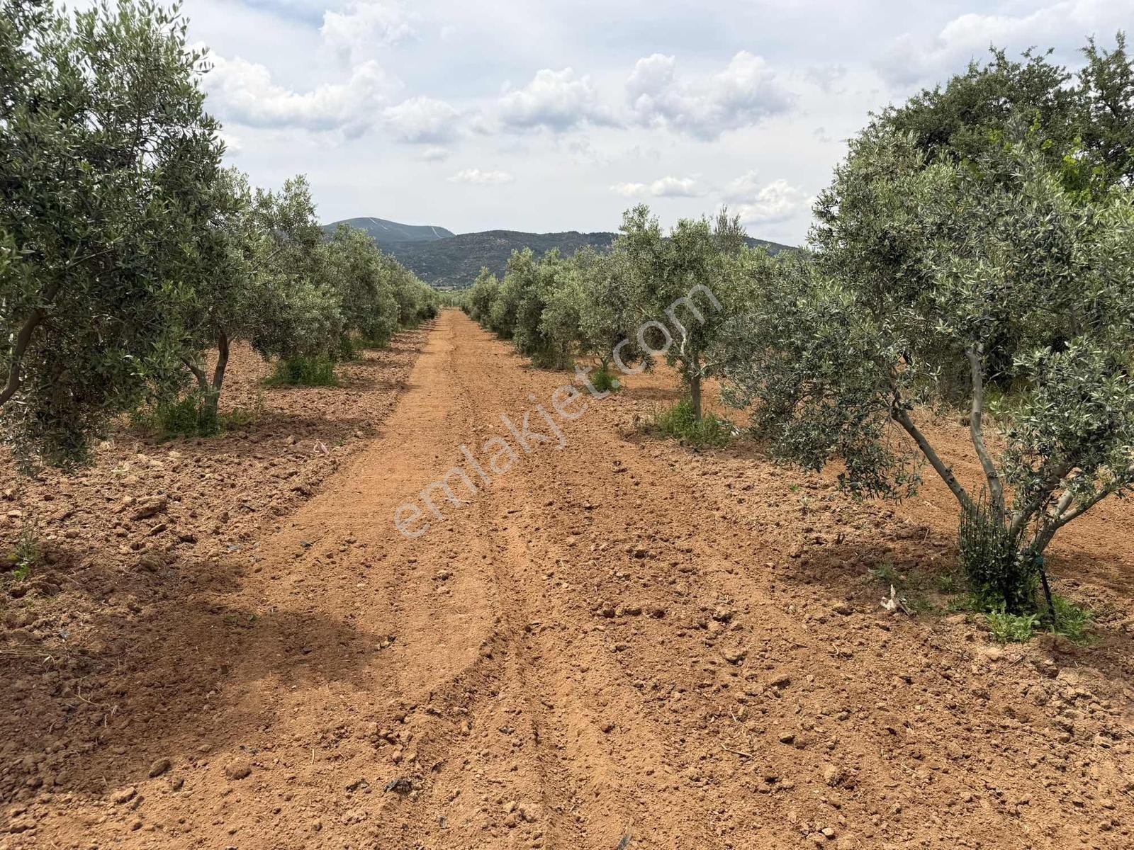 Menderesde Satılık 250 M2 Bahçeler - Görsel 7