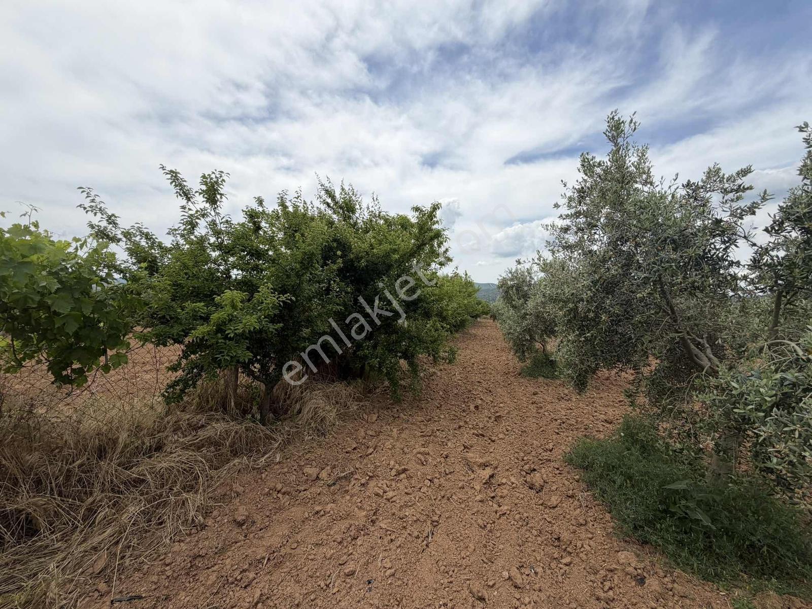 Menderesde Satılık 250 M2 Bahçeler - Görsel 9