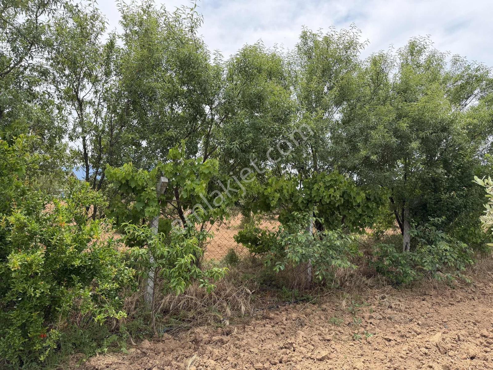 Menderesde Satılık 250 M2 Bahçeler - Görsel 23