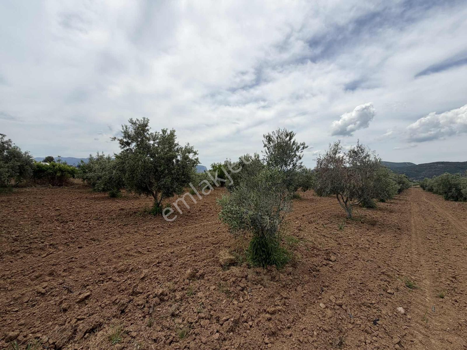 Menderesde Satılık 250 M2 Bahçeler - Görsel 16