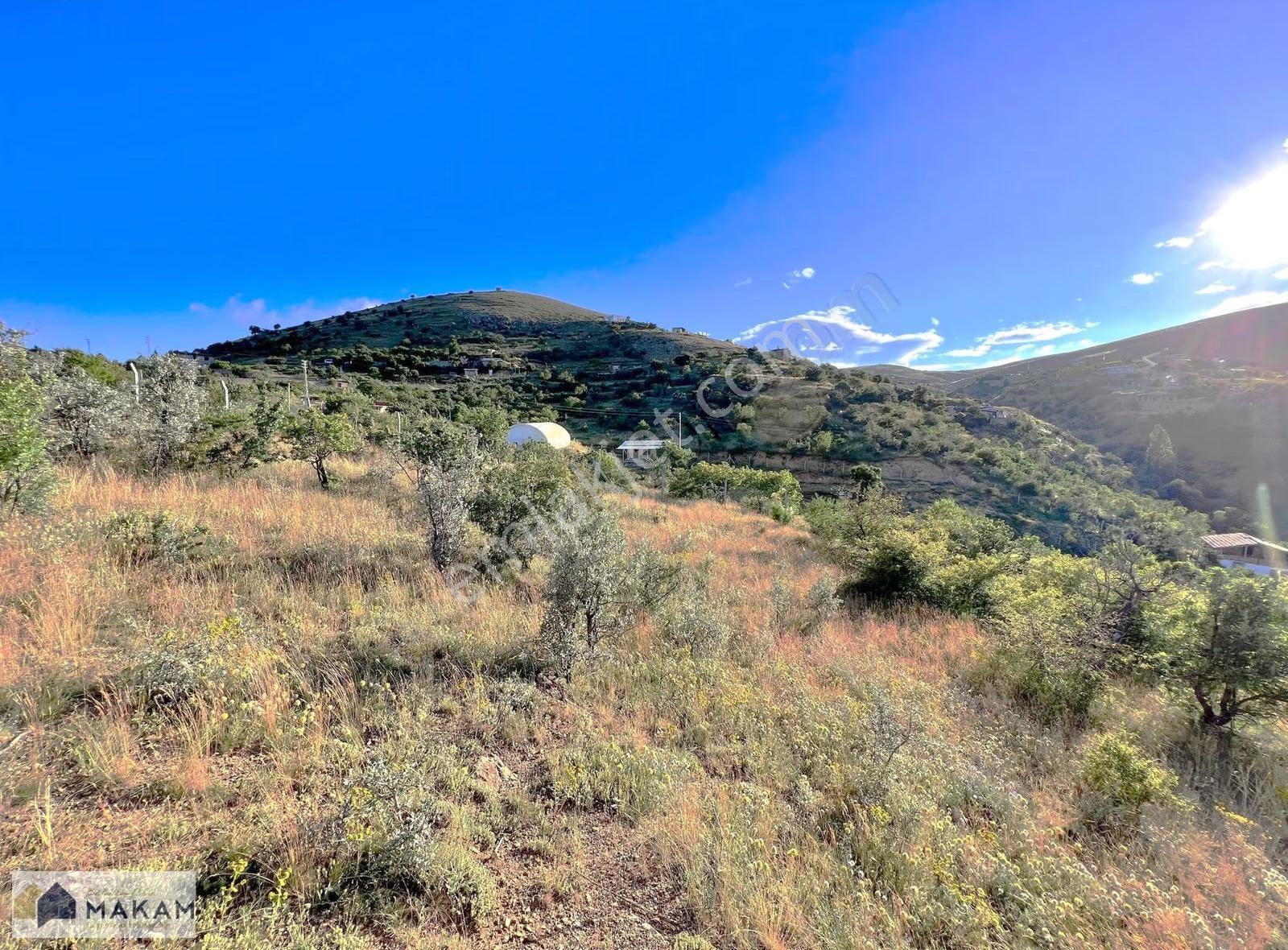 Sulutas Bağlar Mevkiin'de Müstakil 564m2 Satılık Bağ