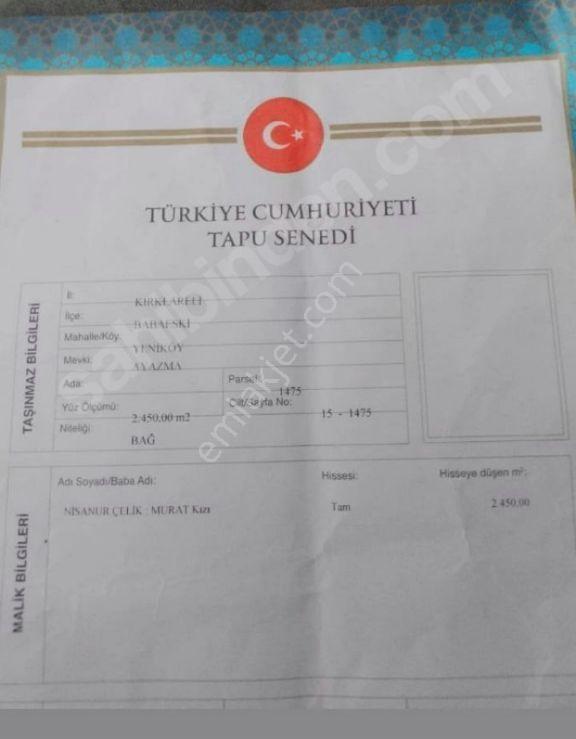 Bağ Tapulu Babaeski Yeniköy 2450m2 - Görsel 3