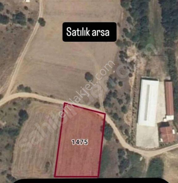 Bağ Tapulu Babaeski Yeniköy 2450m2