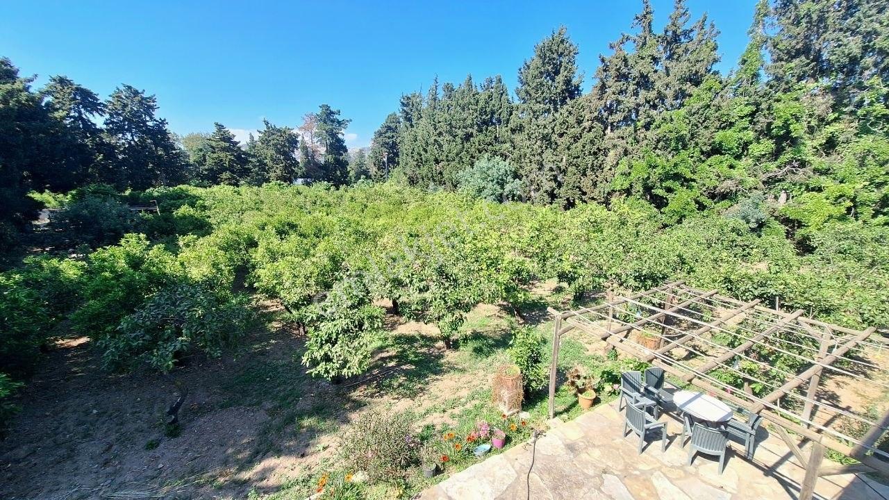 Gümüşlük'de 3 Dönüm Bahçe İçinde Eşyalı Kiralık 2+1 Daire - Görsel 16