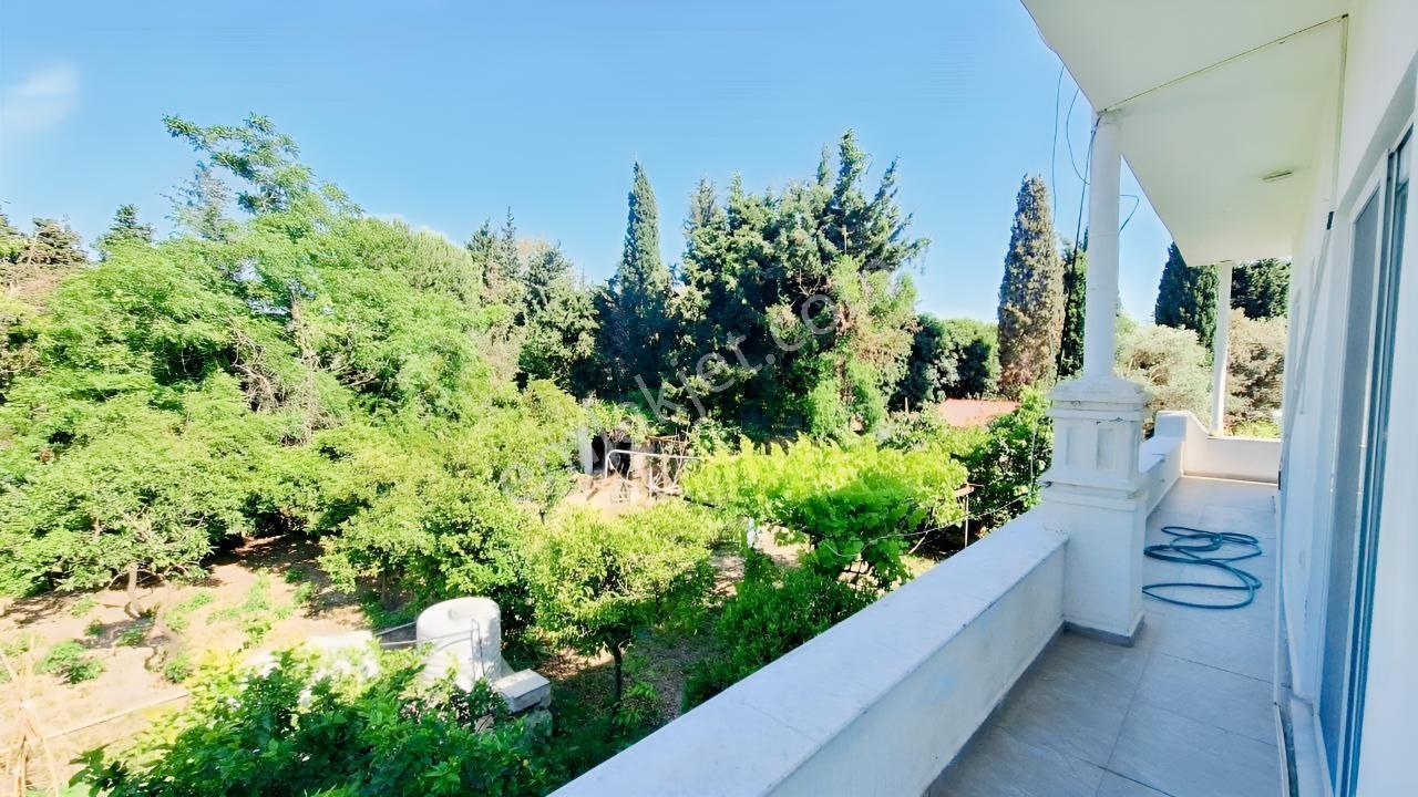 Gümüşlük'de 3 Dönüm Bahçe İçinde Eşyalı Kiralık 2+1 Daire - Görsel 29