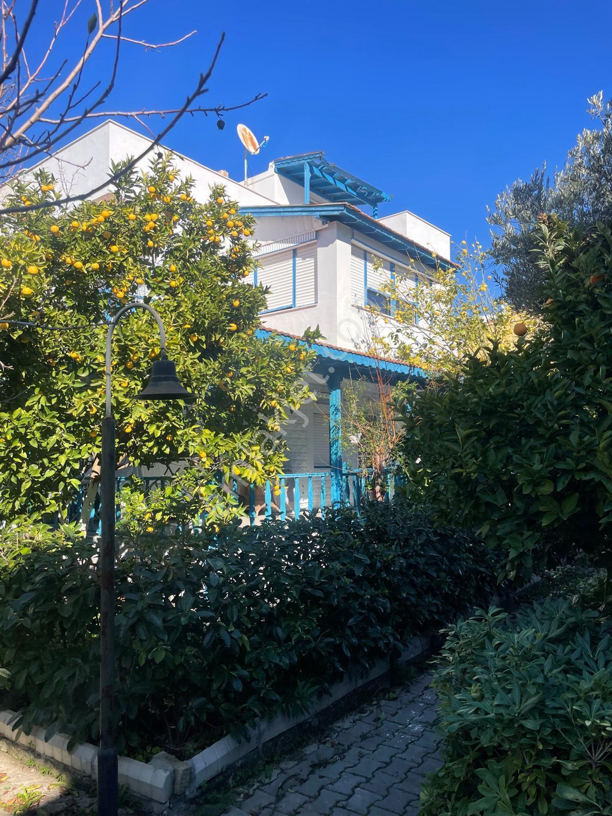 Sahibinden Urla Özbek Akkum'da Denize Çok Yakın Acil Satılık Villa - Görsel 15