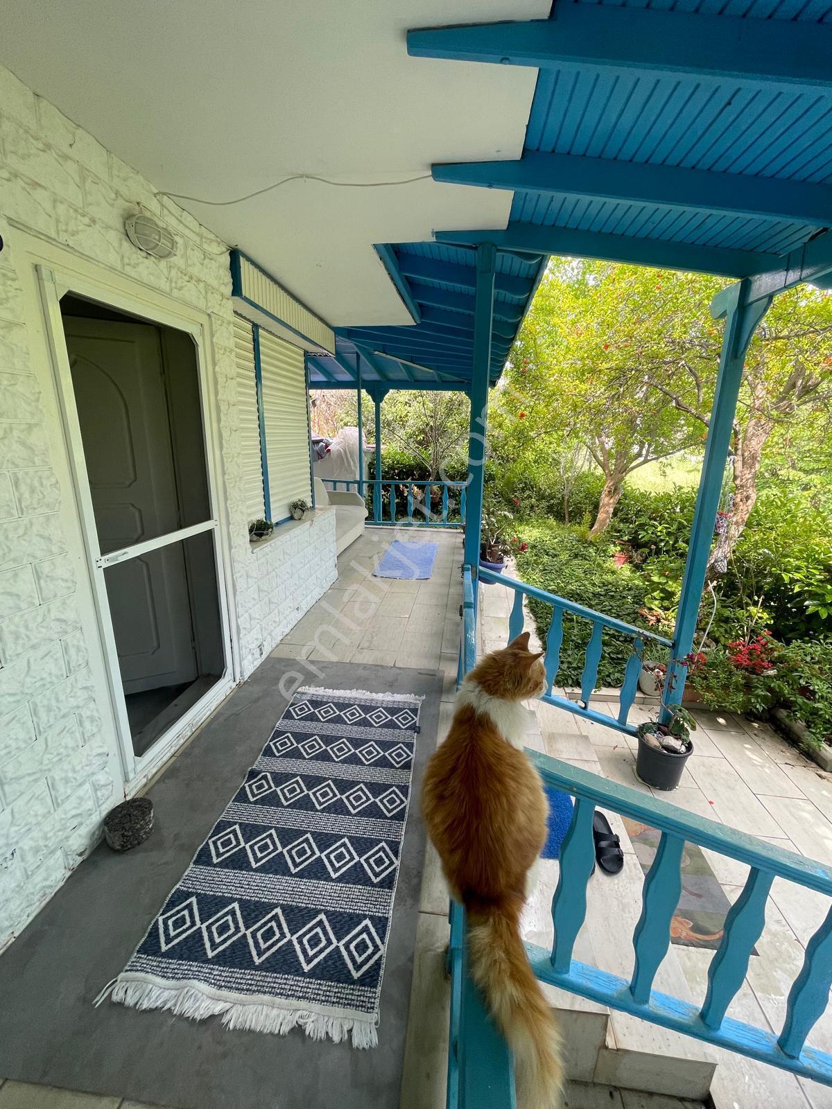 Sahibinden Urla Özbek Akkum'da Denize Çok Yakın Acil Satılık Villa - Görsel 10