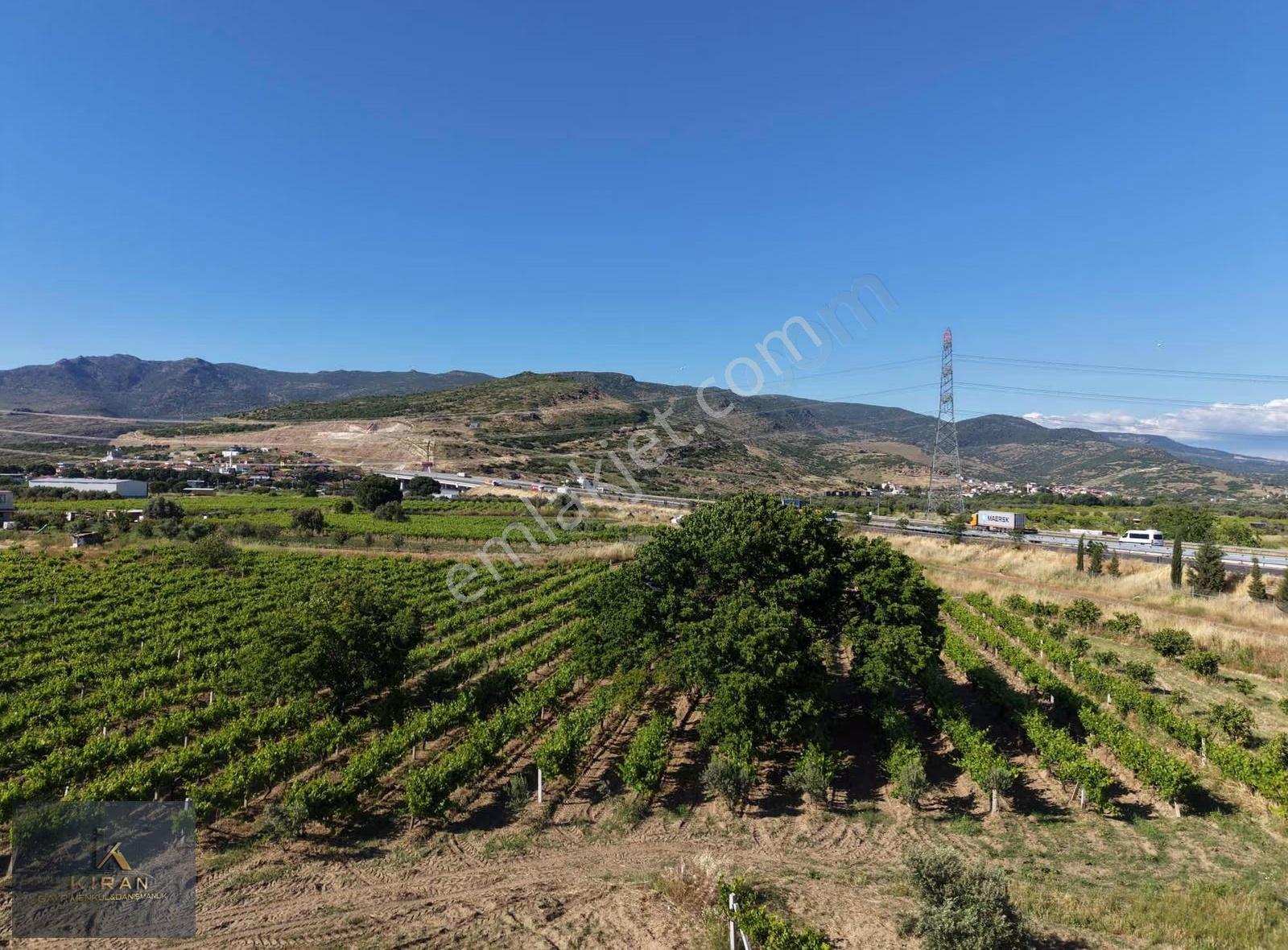 İzmir Menemen Belen Köyünde Satılık 4.870m2 Tarla Ve Bağ - Görsel 8
