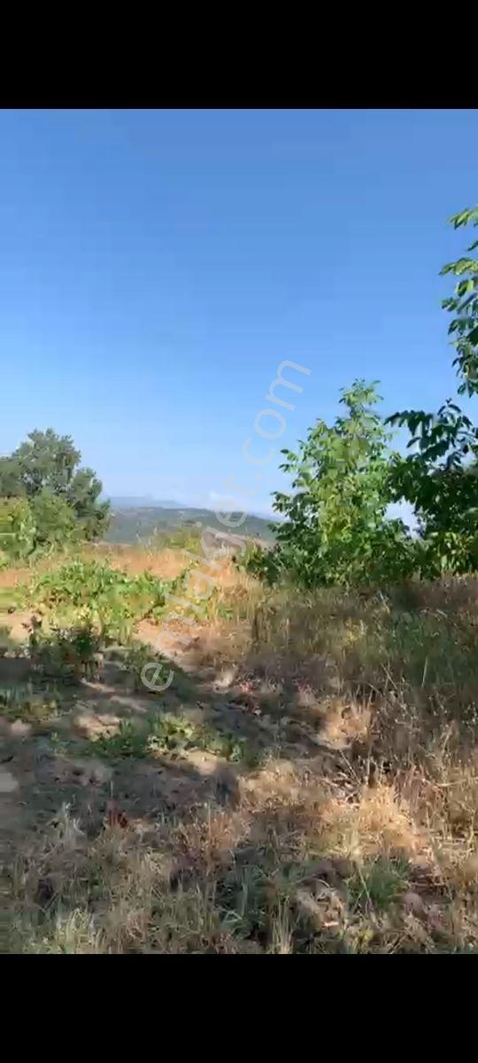 Yetiş Al Dan Savaştepe De 263 M2 Satılık 2 Kat Konut İmarlı Arsa - Görsel 9