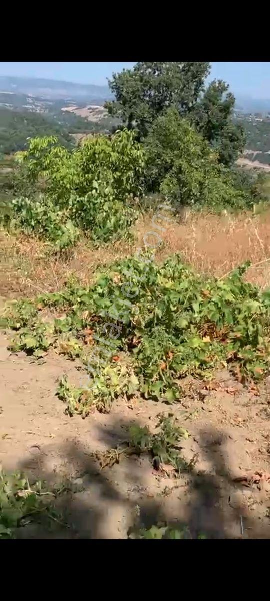 Yetiş Al Dan Savaştepe De 263 M2 Satılık 2 Kat Konut İmarlı Arsa - Görsel 12