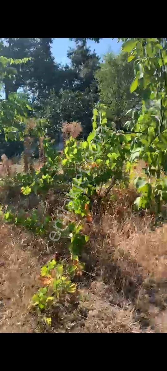Yetiş Al Dan Savaştepe De 263 M2 Satılık 2 Kat Konut İmarlı Arsa - Görsel 11