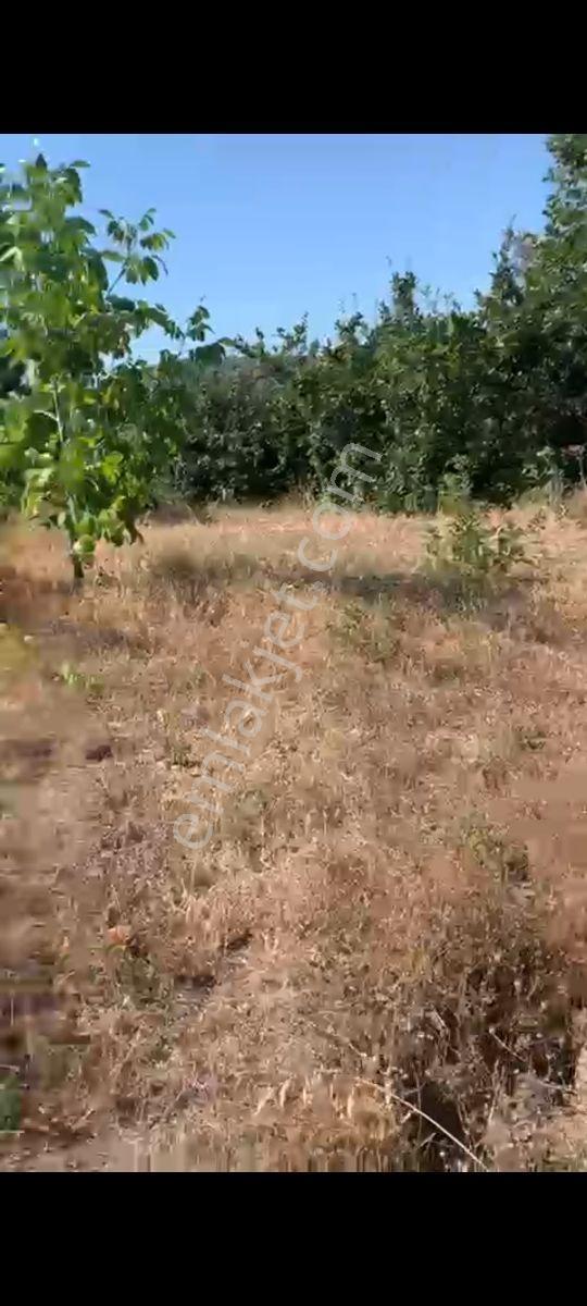Yetiş Al Dan Savaştepe De 263 M2 Satılık 2 Kat Konut İmarlı Arsa - Görsel 24