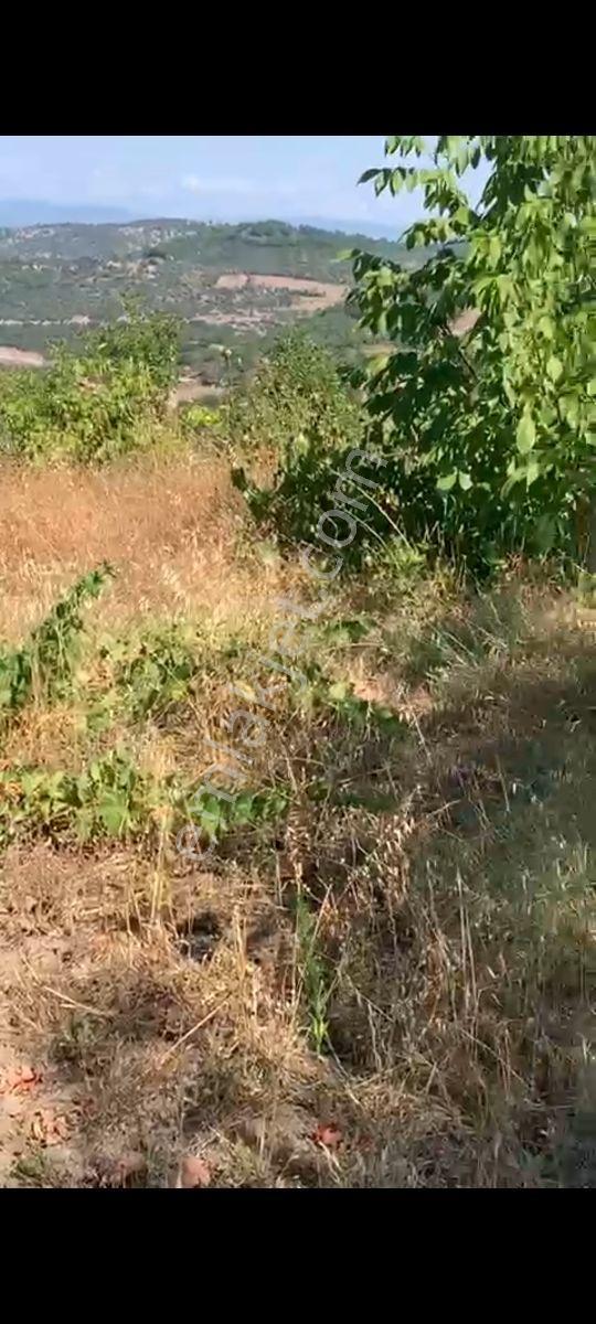 Yetiş Al Dan Savaştepe De 296 M2 Satılık 2 Kat Konut İmarlı Arsa - Görsel 9