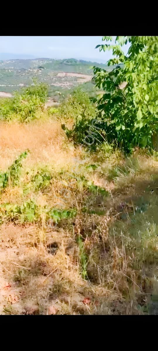 Yetiş Al Dan Savaştepe De 415 M2 Satılık 2 Kat Konut İmarlı Arsa - Görsel 15
