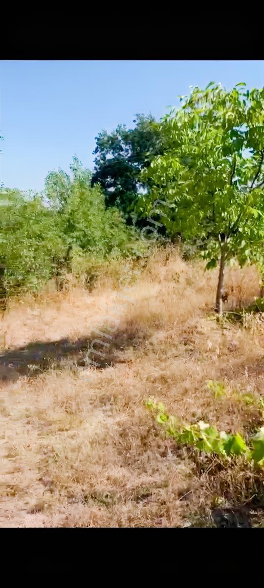 Yetiş Al Dan Savaştepe De 415 M2 Satılık 2 Kat Konut İmarlı Arsa - Görsel 8