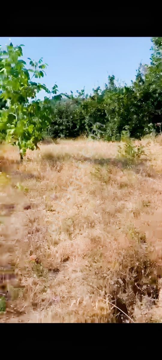 Yetiş Al Dan Savaştepe De 415 M2 Satılık 2 Kat Konut İmarlı Arsa - Görsel 19