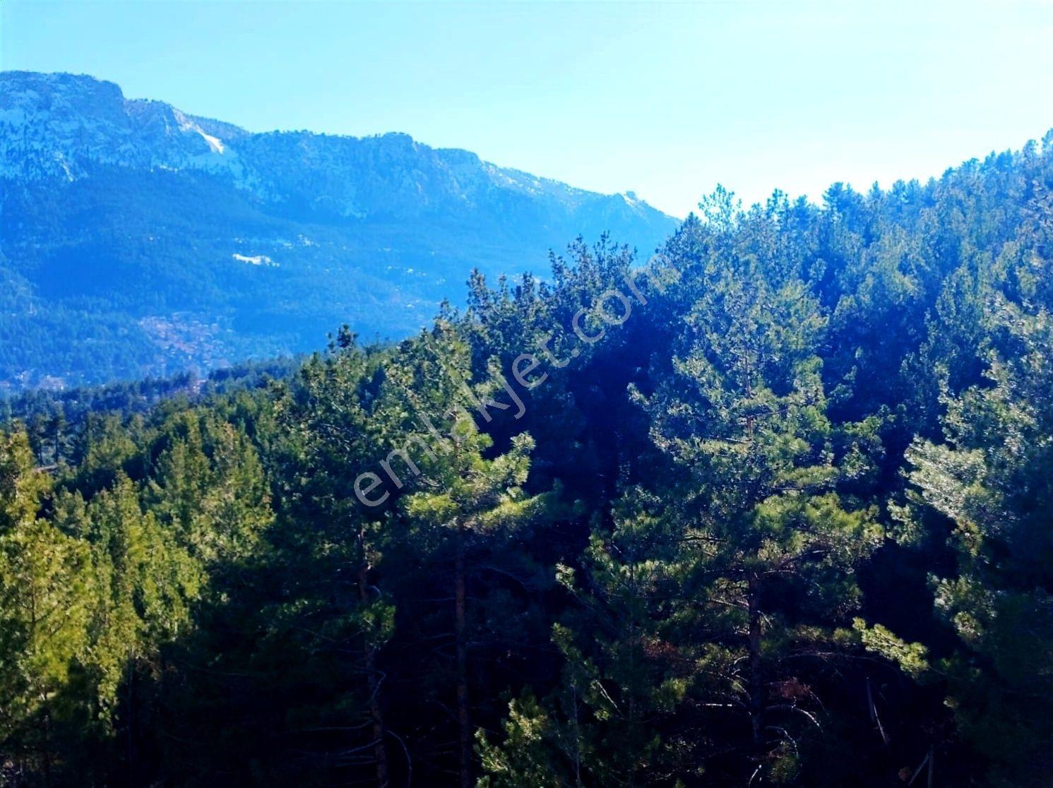 Kar Emlak Tan Akçatekir Şıhlıda 1420 M2 Satılık Arsa - Görsel 10