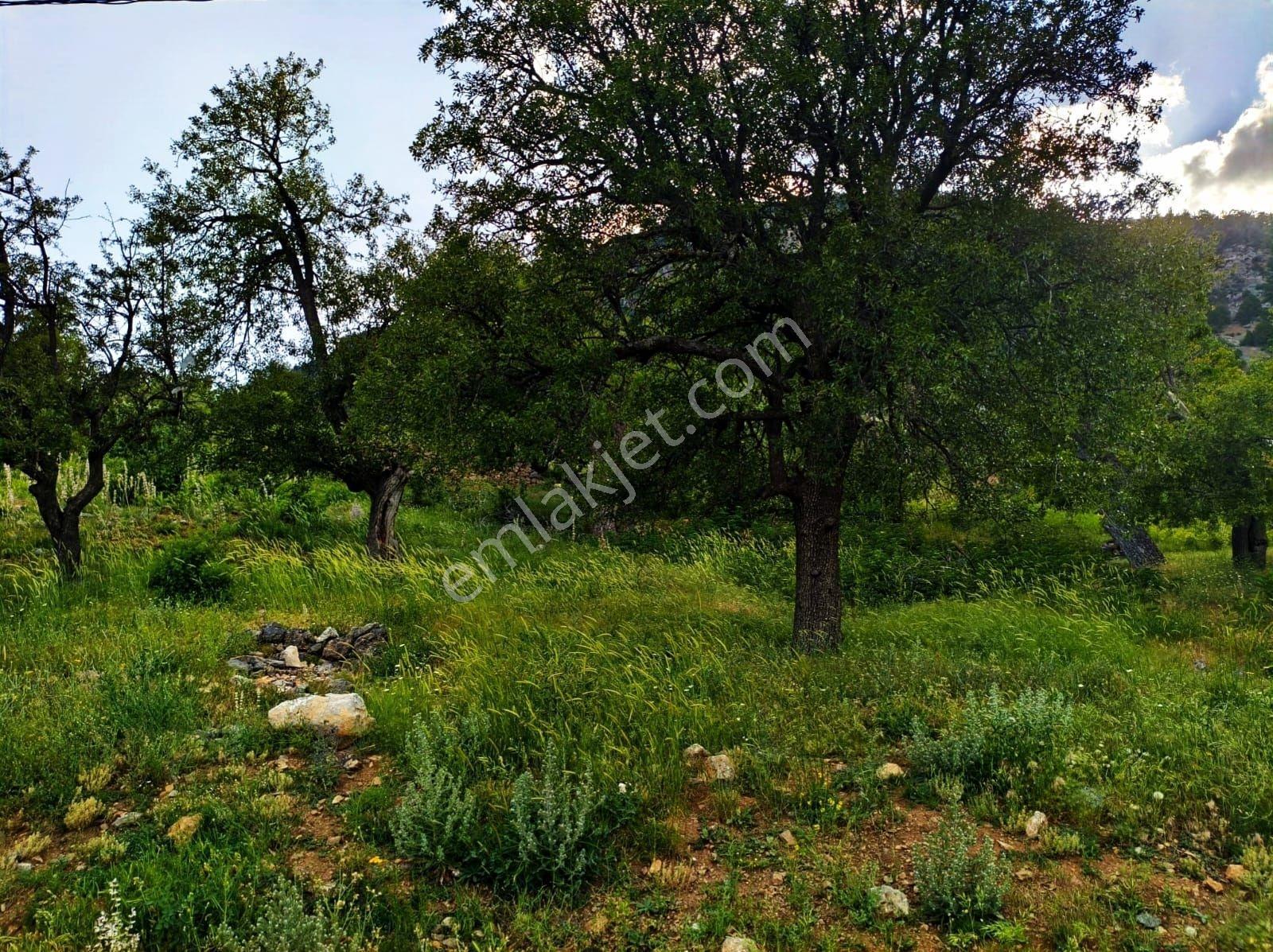 Kar Emlak Tan Akçatekir Eski Köyde 385 M2 Satılık Arsa - Görsel 15