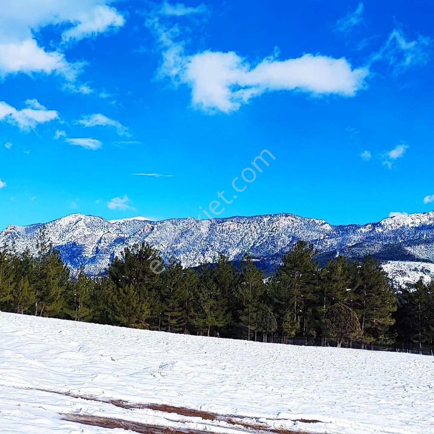 Kar Emlaktan Yenikonacık Kırıntı Mevkiinde 4500m2 Satılık Arsa - Görsel 3