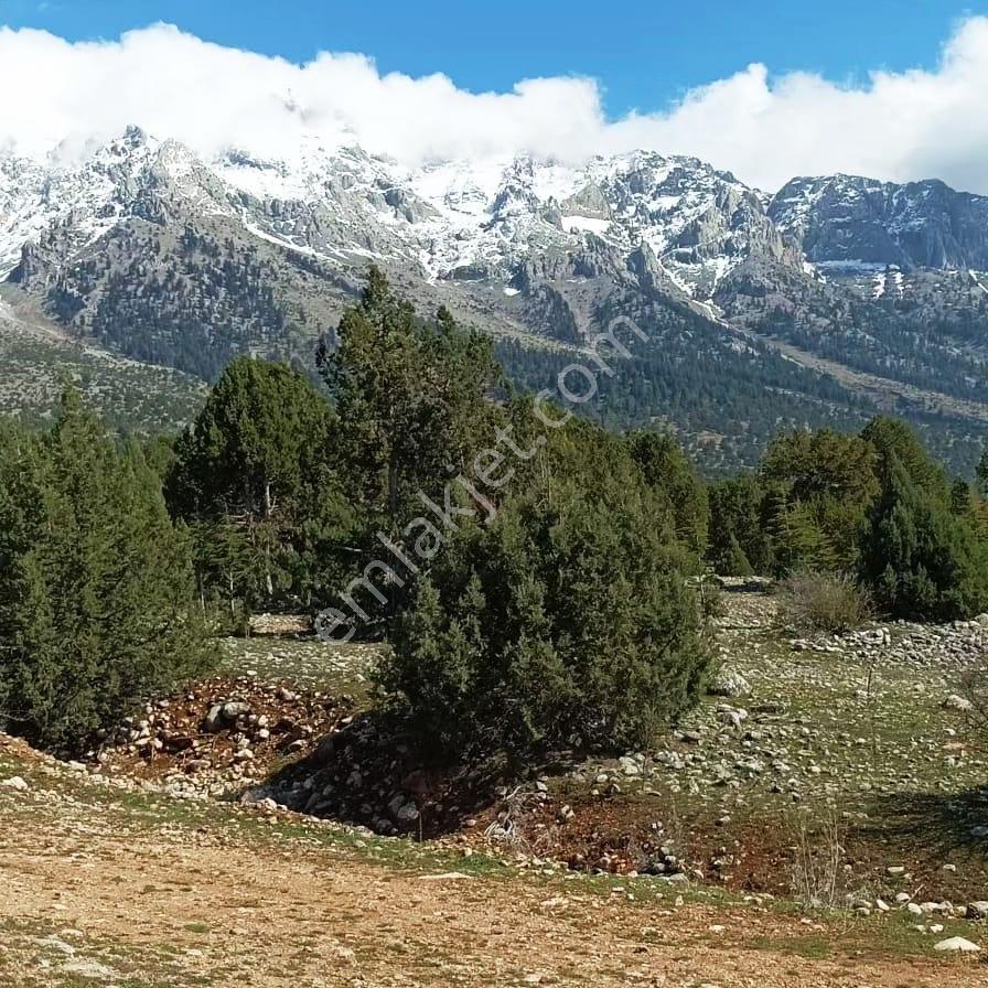 Kar Emlaktan Aşçıbekirli Fenese Mevkiinde 400m2 Satılık Arsa - Görsel 13