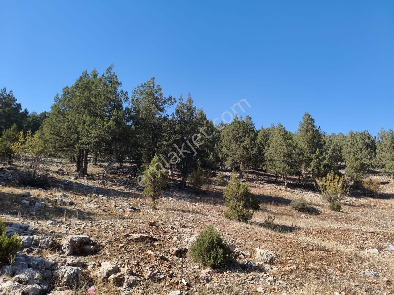 Akçatekir Nohutlukta 675m2 Satılık Arsa - Görsel 20