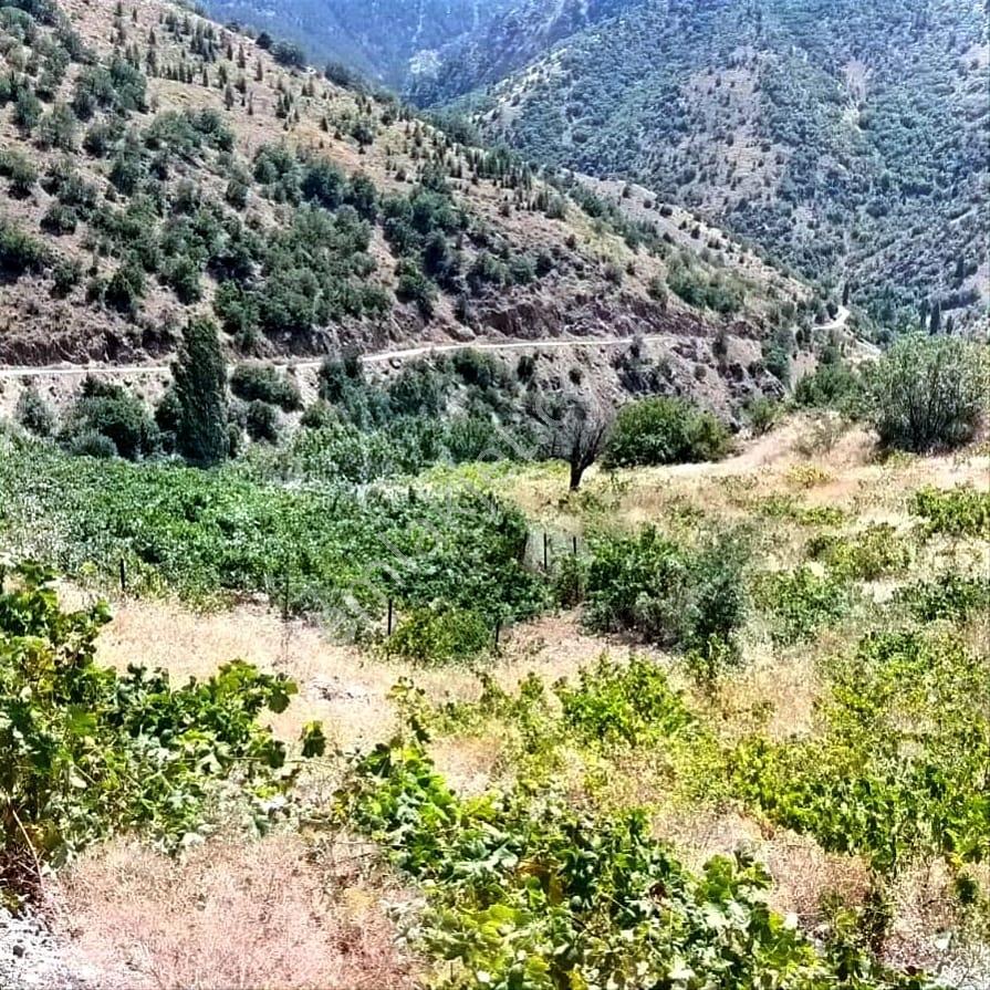 Kar Emlaktan Ömerli Köyünde 1400m2 Satılık Bahçe - Görsel 4
