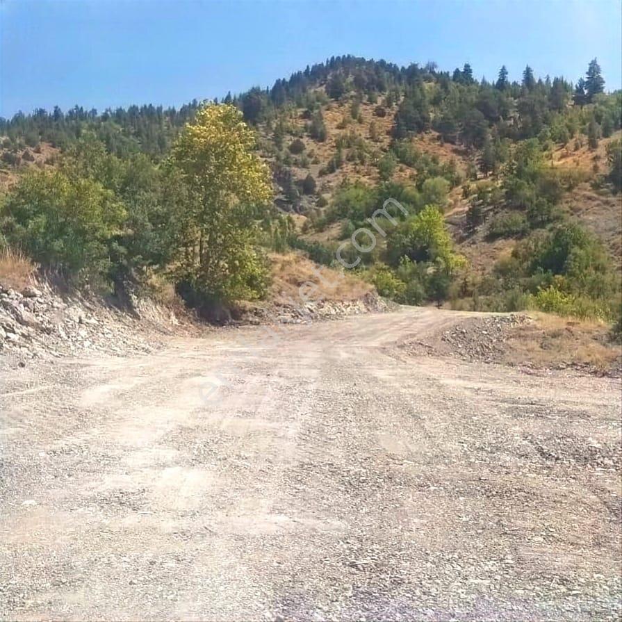 Kar Emlaktan Ömerli Köyünde 1400m2 Satılık Bahçe - Görsel 8