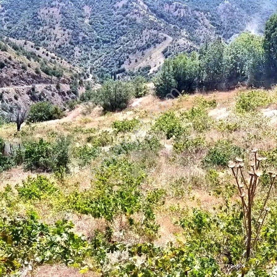 Kar Emlaktan Ömerli Köyünde 1400m2 Satılık Bahçe - Görsel 19