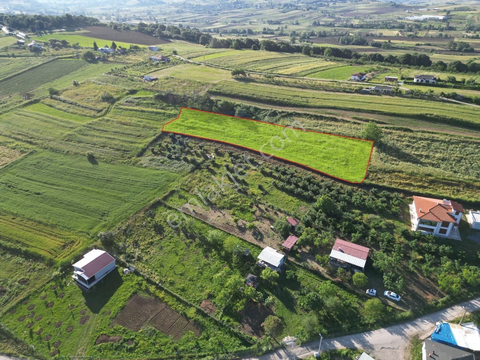 Sakarya Kayrancık Merkezde Yatırmlık Cazip Fiyatlı 3.545m2 Tarla - Görsel 8