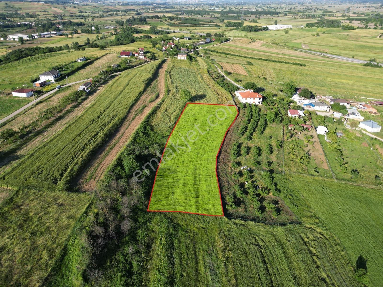 Sakarya Kayrancık Merkezde Yatırmlık Cazip Fiyatlı 3.545m2 Tarla - Görsel 6
