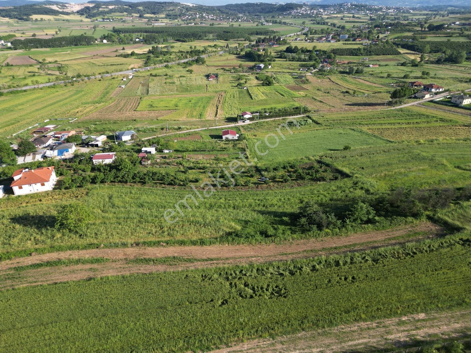 Sakarya Kayrancık Merkezde Yatırmlık Cazip Fiyatlı 3.545m2 Tarla - Görsel 13