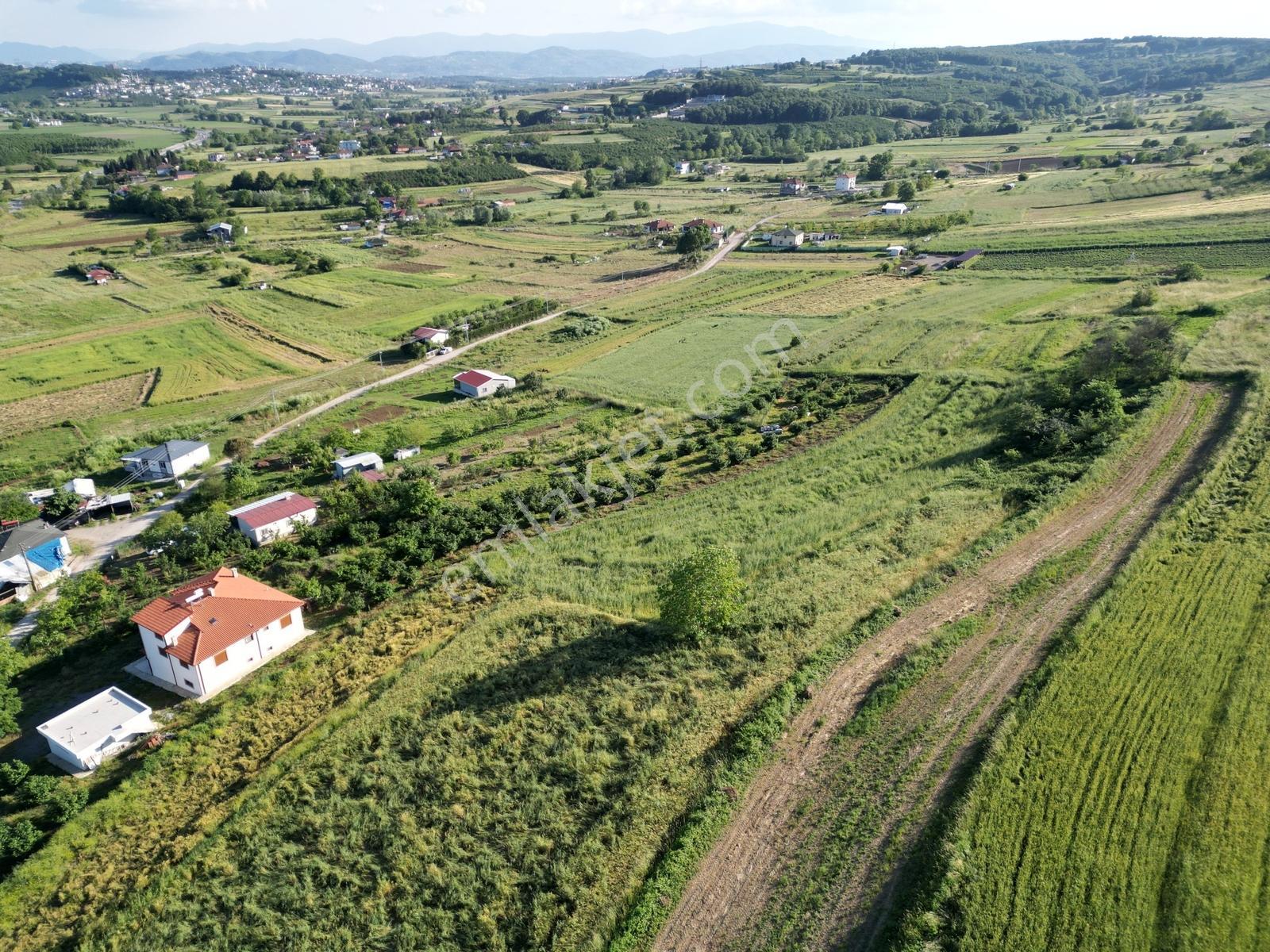 Sakarya Kayrancık Merkezde Yatırmlık Cazip Fiyatlı 3.545m2 Tarla - Görsel 2