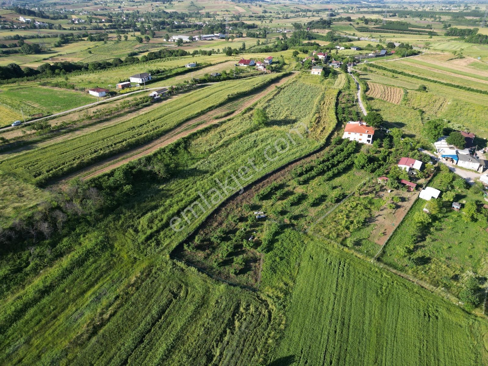 Sakarya Kayrancık Merkezde Yatırmlık Cazip Fiyatlı 3.545m2 Tarla - Görsel 15