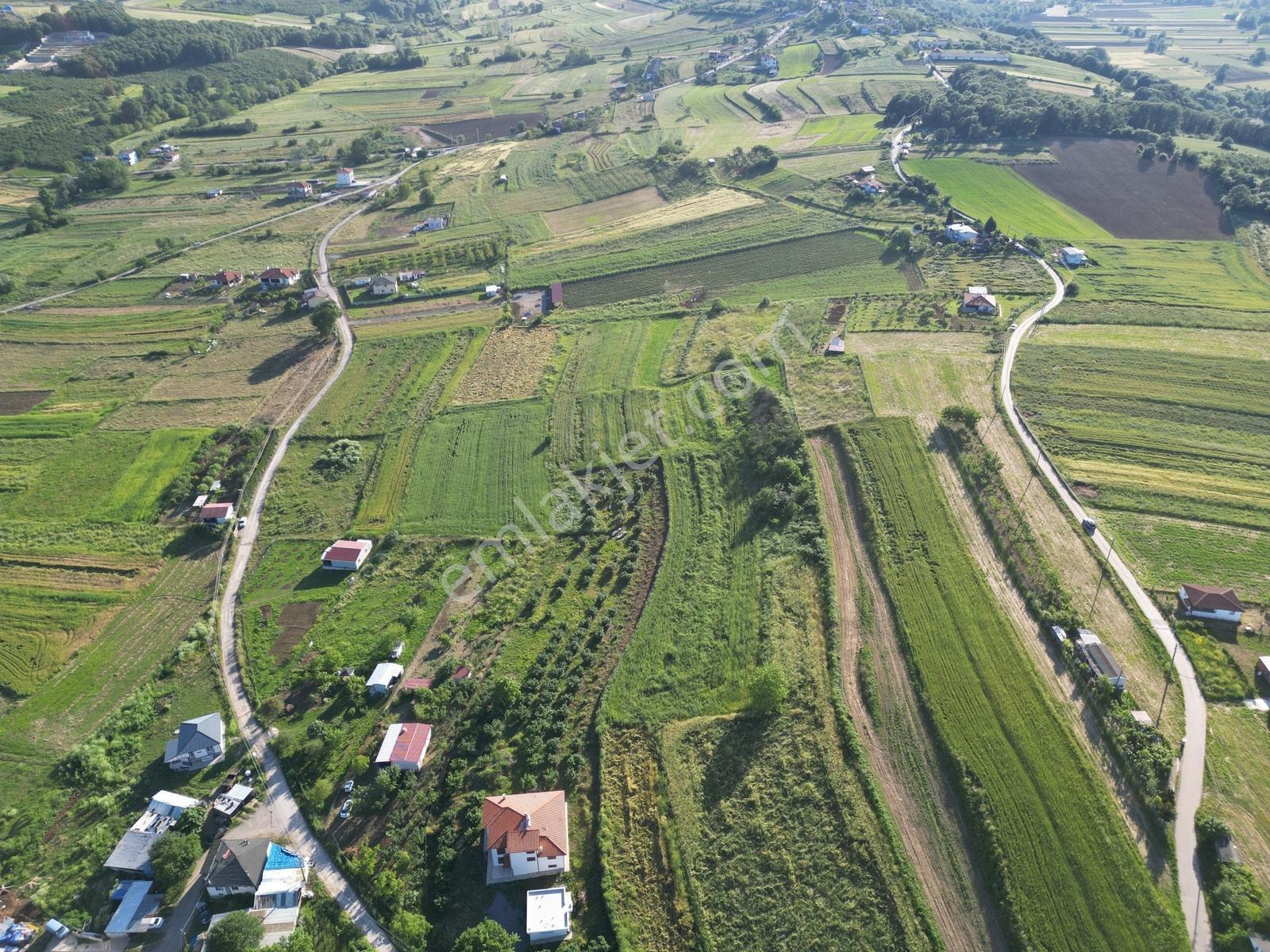 Sakarya Kayrancık Merkezde Yatırmlık Cazip Fiyatlı 3.545m2 Tarla - Görsel 17