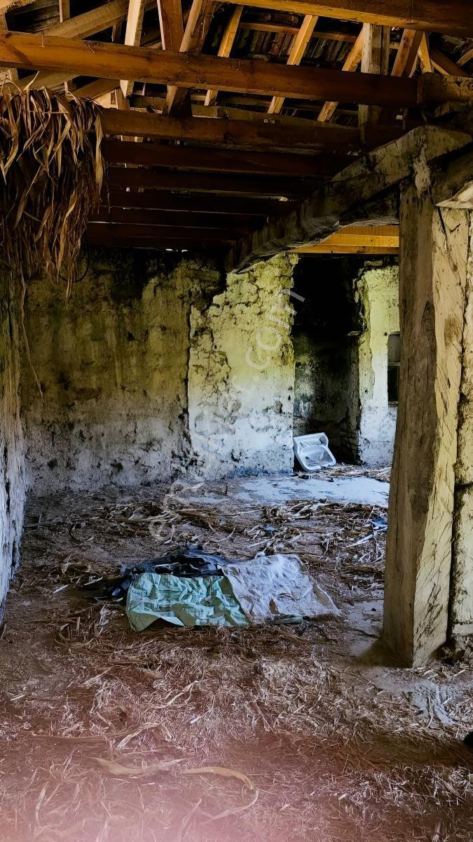 Yenişehiriznik Arasında Uygun Fiyatlı Tek Tapu Müstakil Ev - Görsel 7