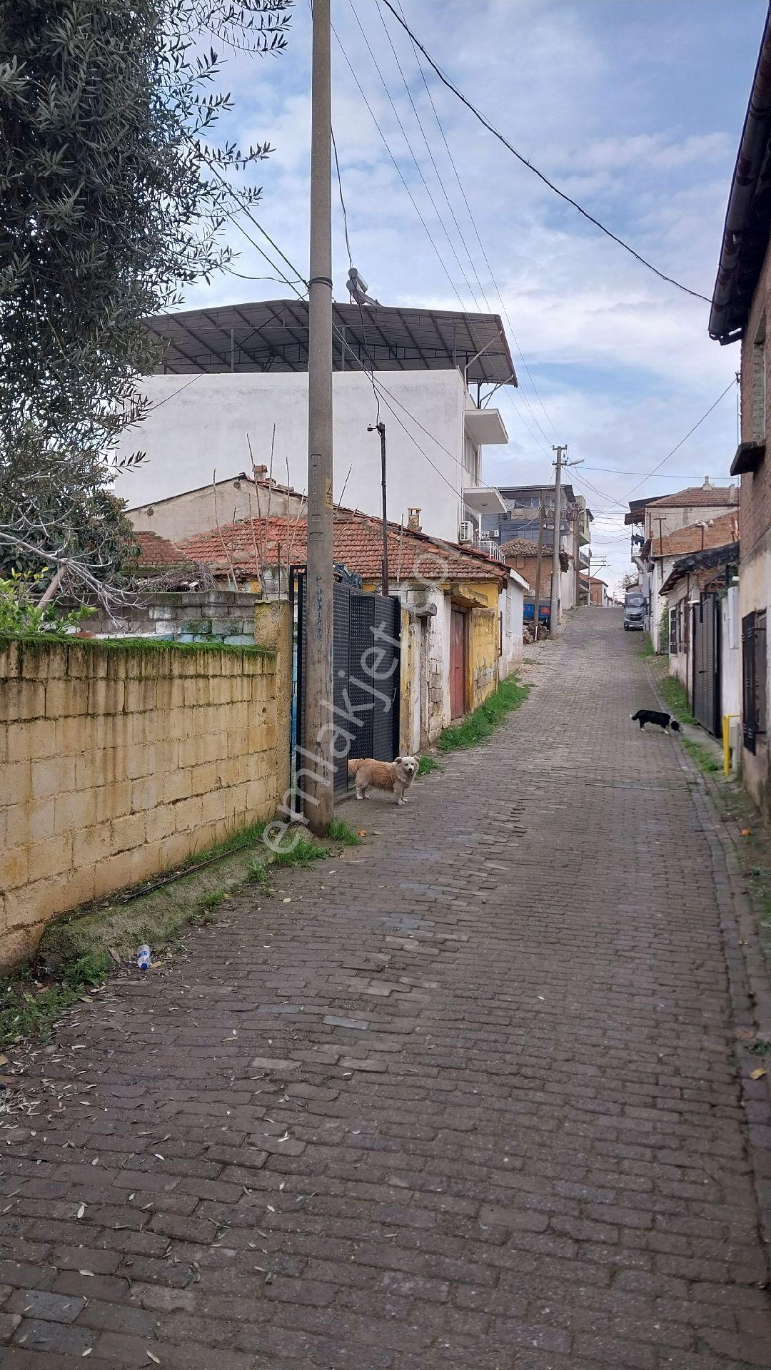 Aydın Efeler Çeştepe Mahallesinde Satılık Bahçeli Müstakil Ev - Görsel 3