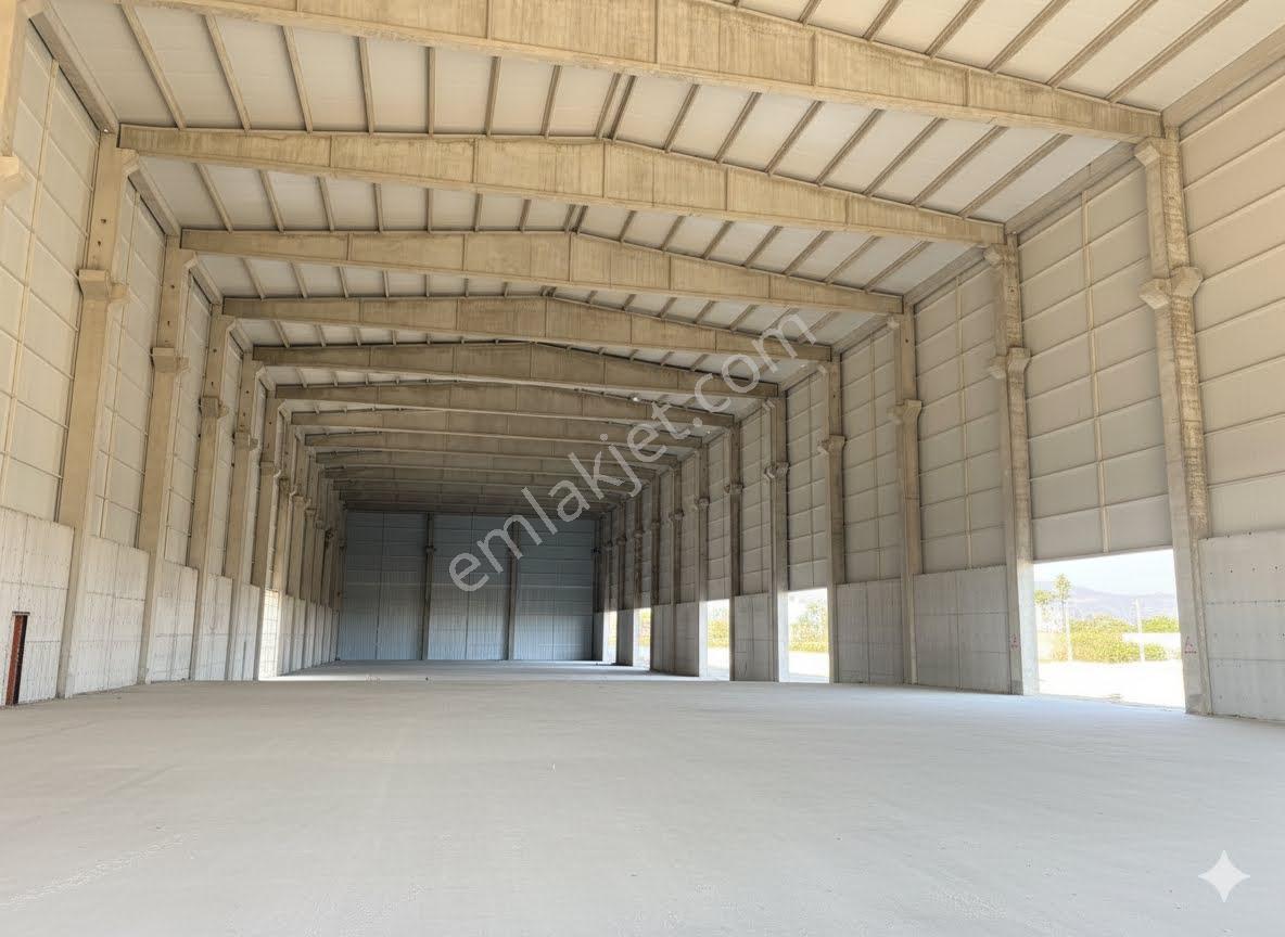 12000 M2 Kapalı D400 Üzeri Limana 8km Bacasız Sanayi İmarlı Fabrika Depo - Görsel 4