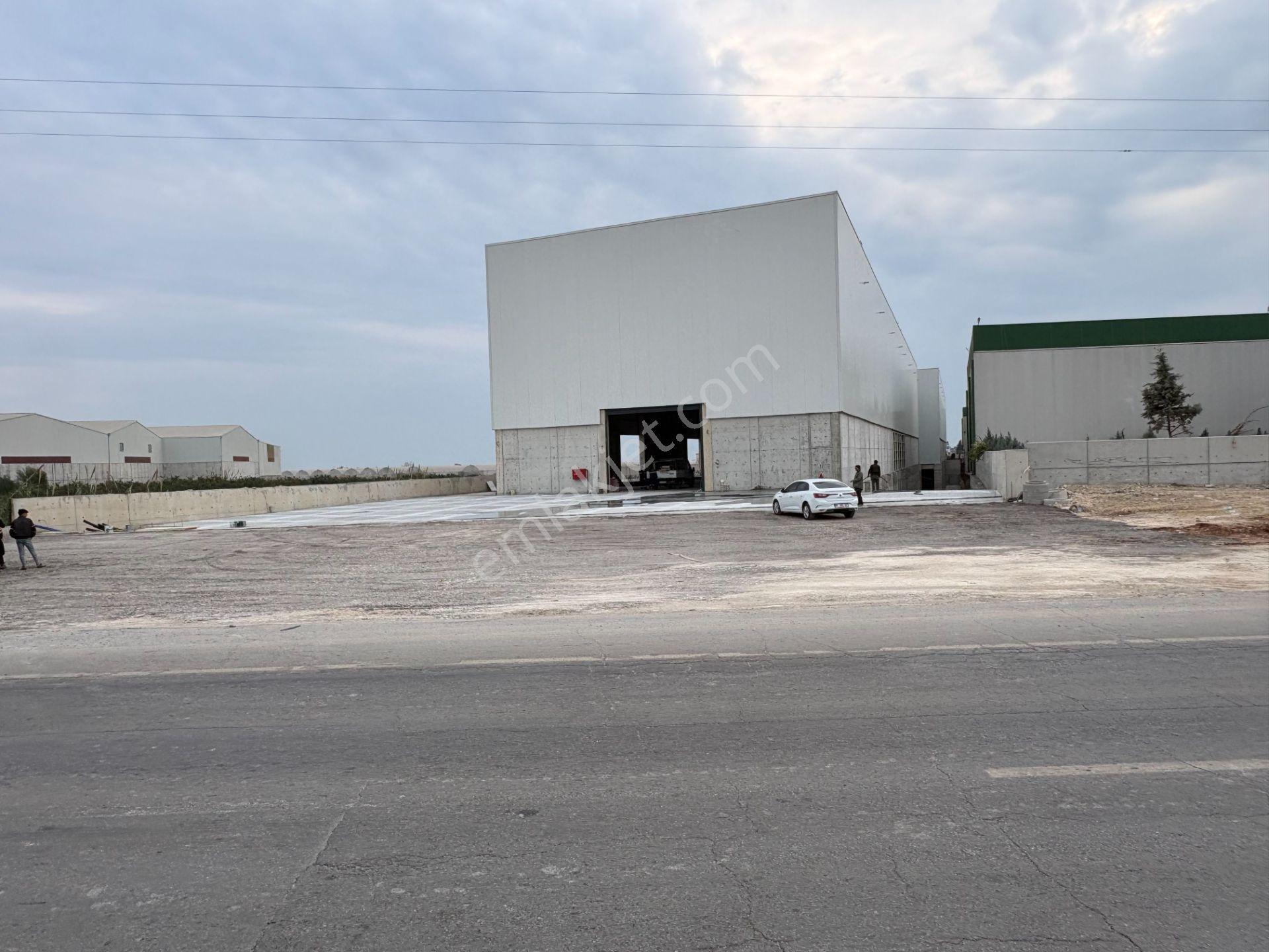 12000 M2 Kapalı D400 Üzeri Limana 8km Bacasız Sanayi İmarlı Fabrika Depo