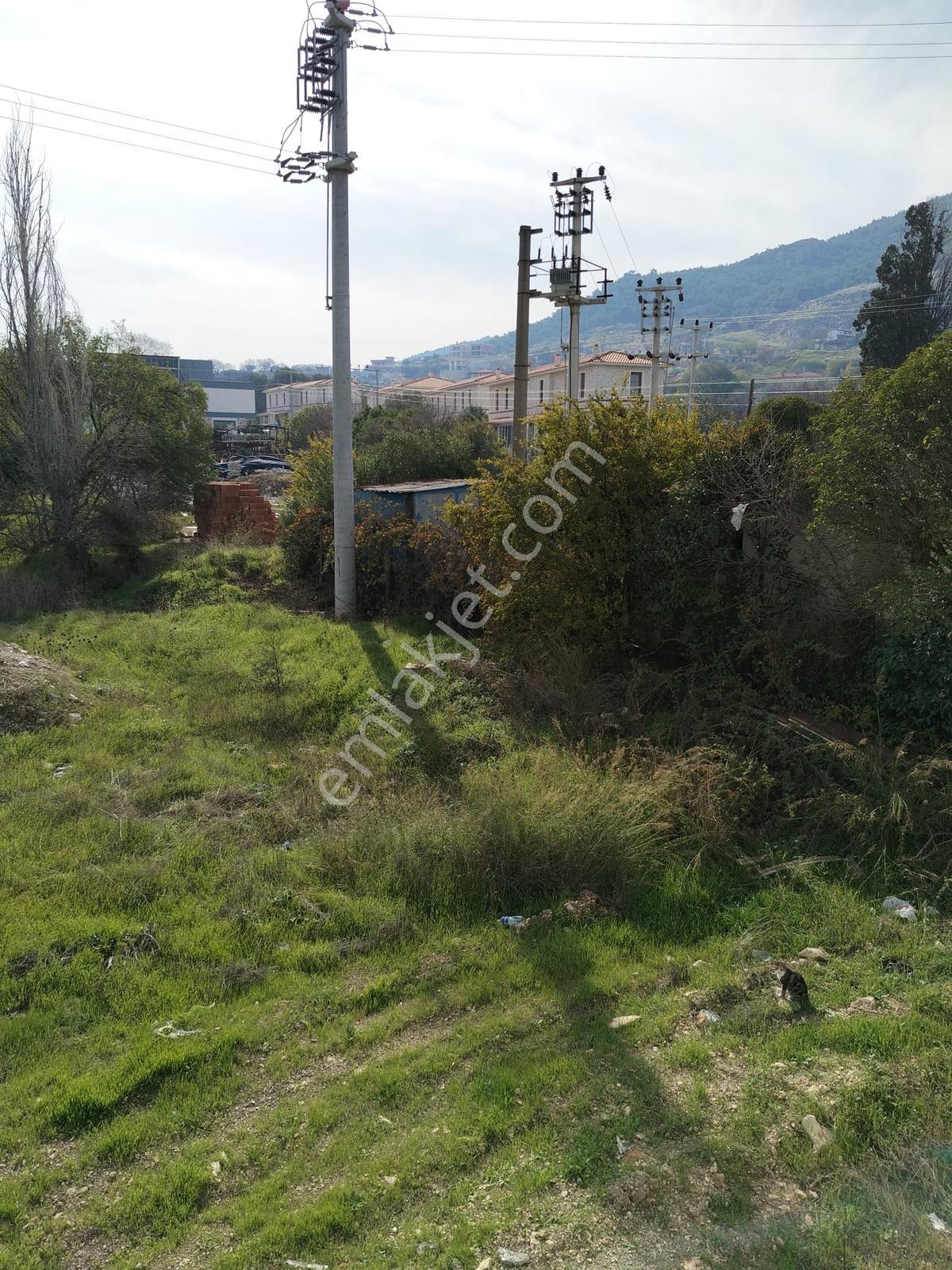 Eşsiz Doğa Ve Konforun Buluşma Noktası Kozbeyli Yatırım Fırsatı - Görsel 20